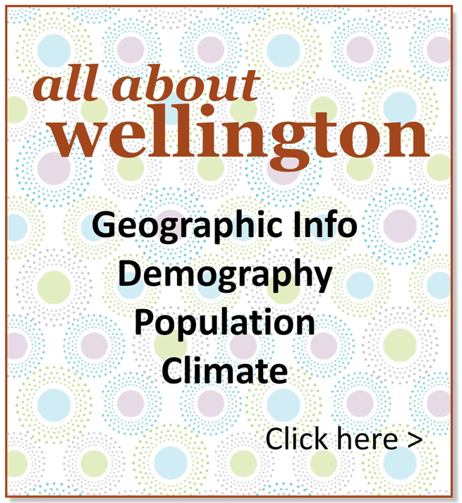 all about wellington